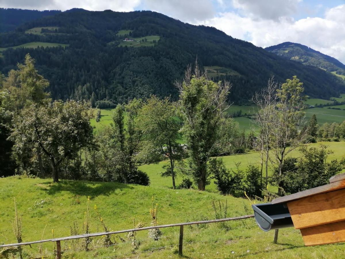 Laerchenhaus ,,Unterer Brodl" Sankt Peter am Kammersberg Exterior foto