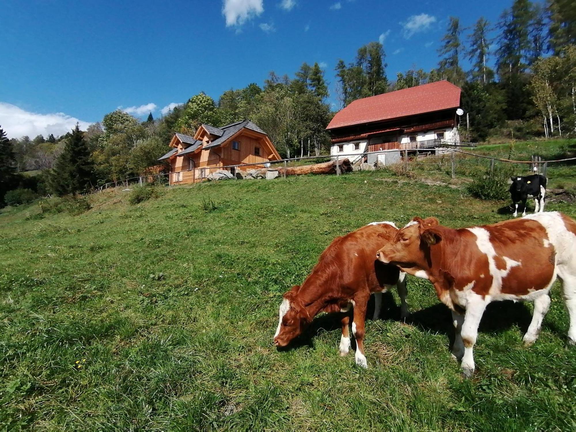 Laerchenhaus ,,Unterer Brodl" Sankt Peter am Kammersberg Exterior foto
