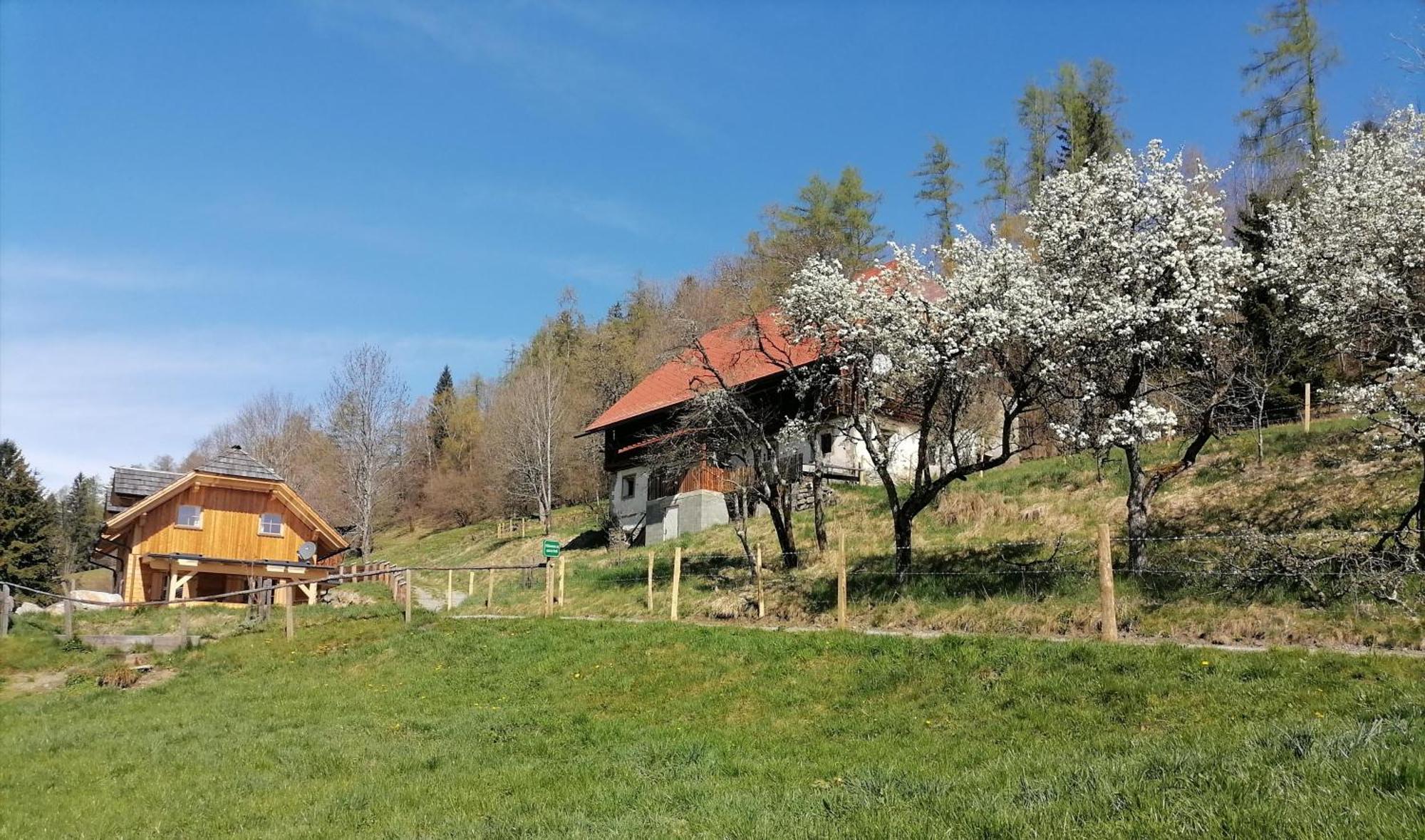 Laerchenhaus ,,Unterer Brodl" Sankt Peter am Kammersberg Exterior foto