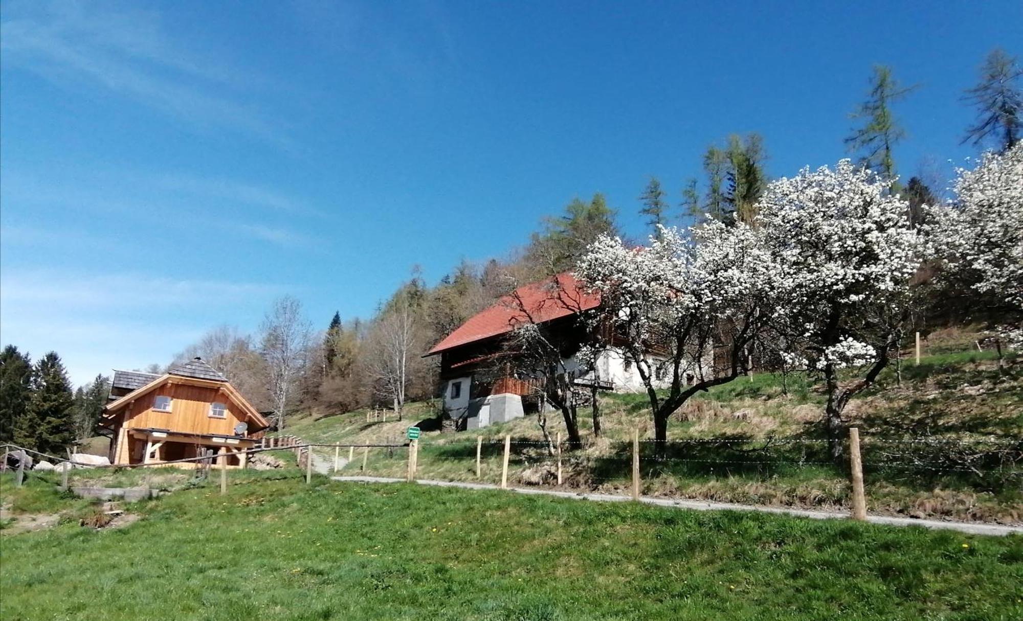 Laerchenhaus ,,Unterer Brodl" Sankt Peter am Kammersberg Exterior foto