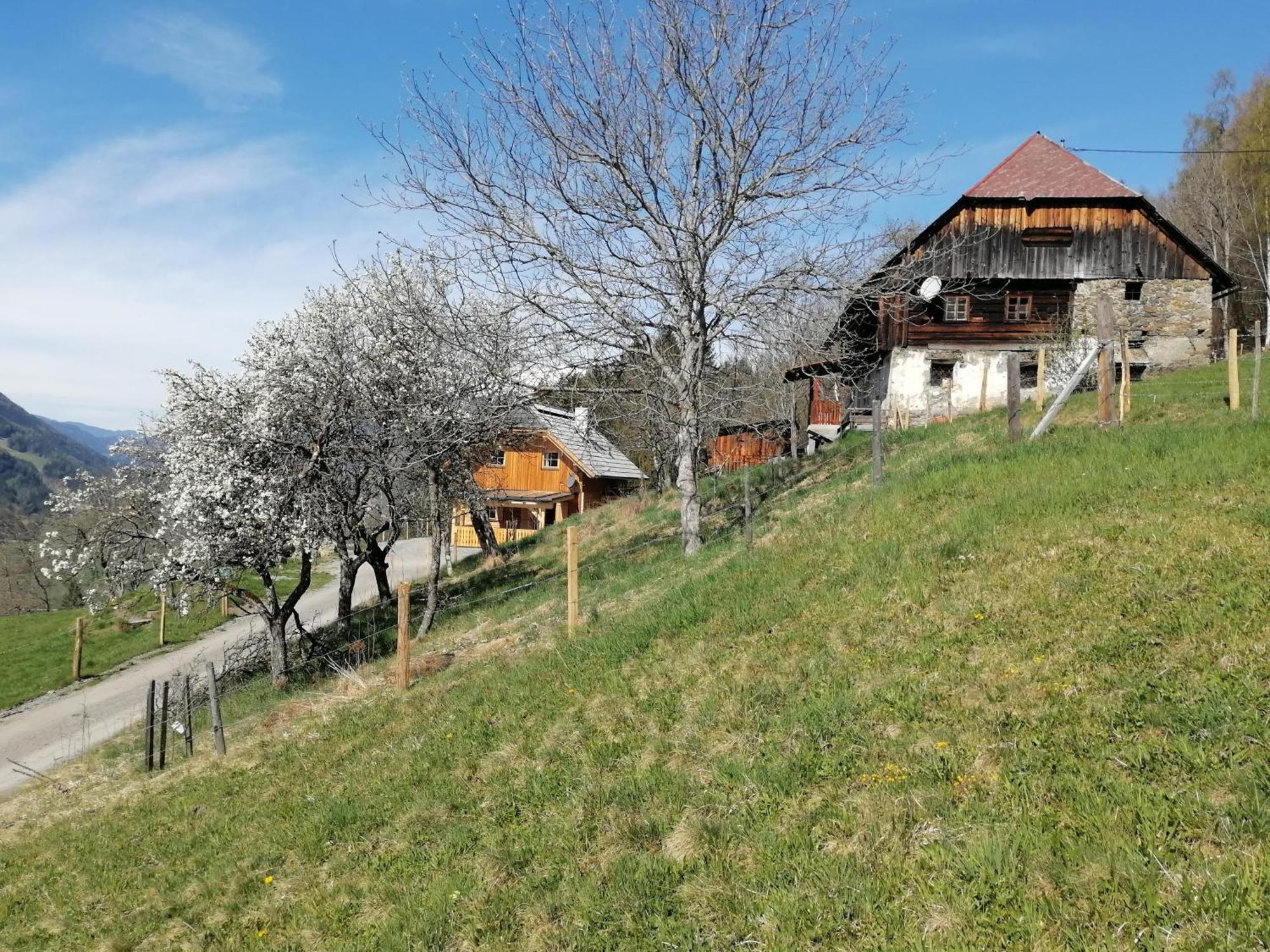 Laerchenhaus ,,Unterer Brodl" Sankt Peter am Kammersberg Exterior foto