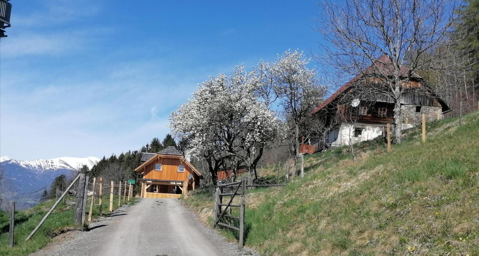 Laerchenhaus ,,Unterer Brodl" Sankt Peter am Kammersberg Exterior foto